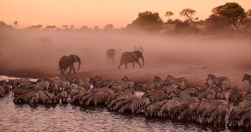 Botswana Safari, Vic Falls & Makgadikgadi Salt Pans