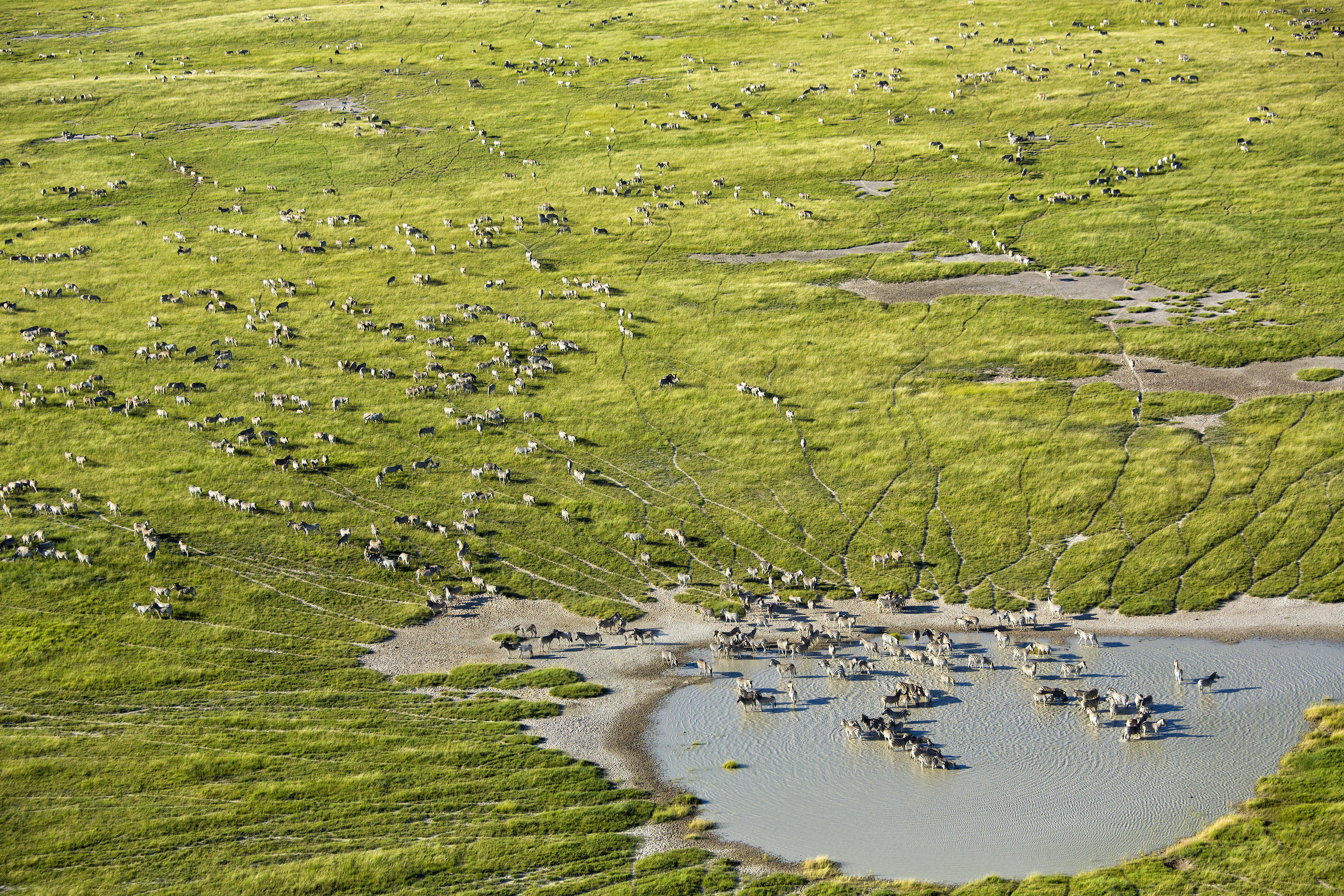Makgadikgadi Salt Pans