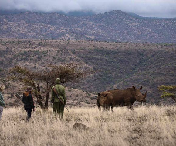 Lewa Safari Camp