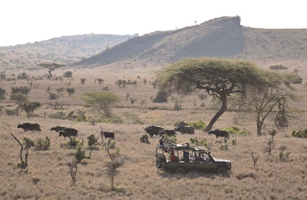 Lewa Conservancy
