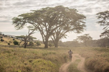 Lewa Wildlife Conservancy in Kenya