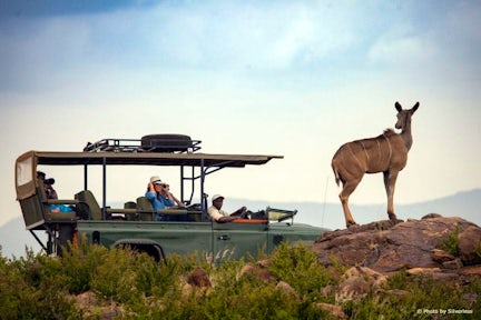 Loisaba Conservancy, Kenya