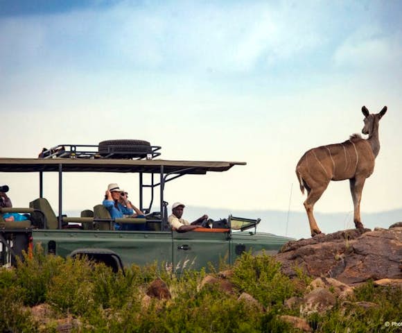 Loisaba Conservancy, Kenya