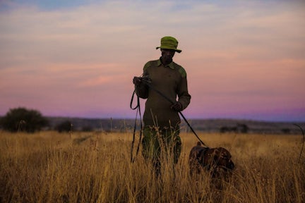Loisaba Conservancy, Kenya