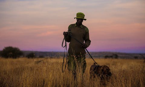 Loisaba Conservancy, Kenya