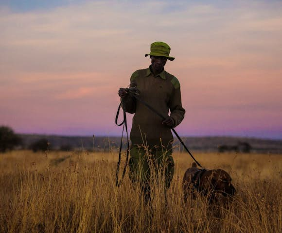 Loisaba Conservancy, Kenya