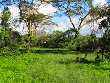 Loisaba Conservancy Acacia Campsite, Kenya