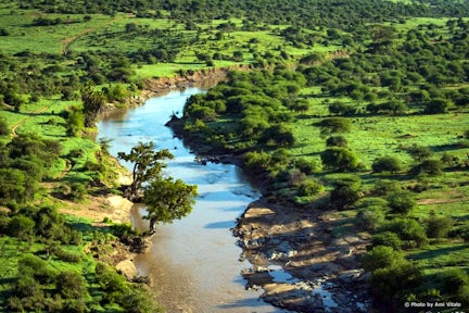 Loisaba Conservancy, Kenya