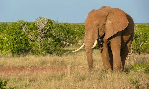 Katavi National Park