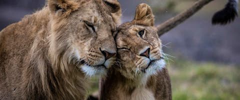 Kenya Family Adventure