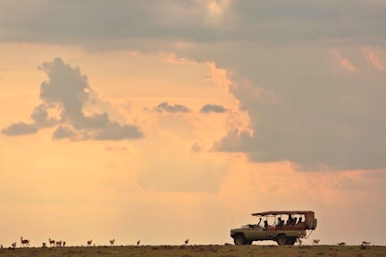 Mara Naboisho Conservancy