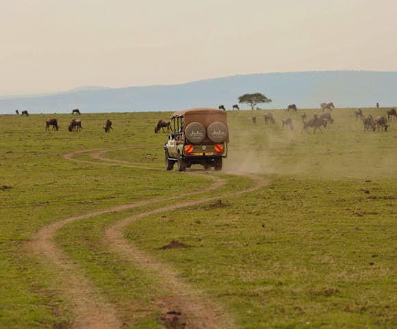 Kenya Tours