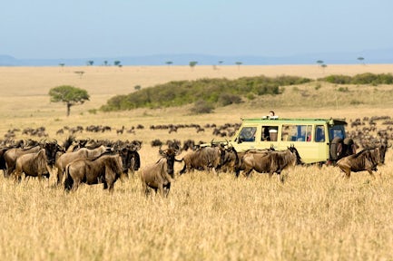 Mara River