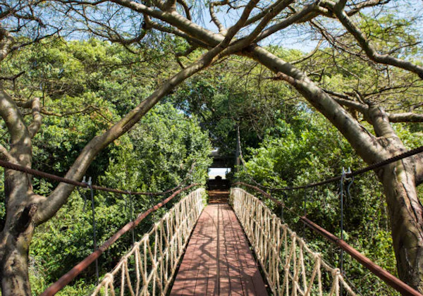 Mara Plains Camp, Olare Motorogi Conservancy · Kenya