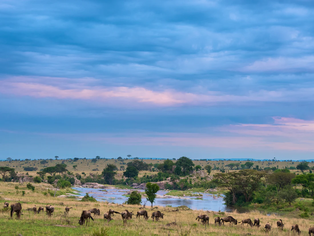 Mara River Post, Northern Serengeti