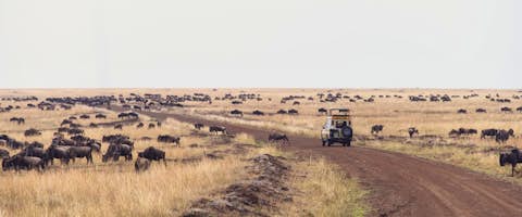 Kenya Classic Group Tour