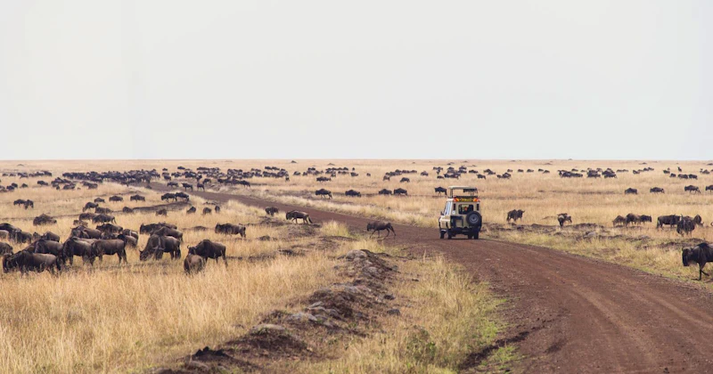Kenya Classic Group Tour