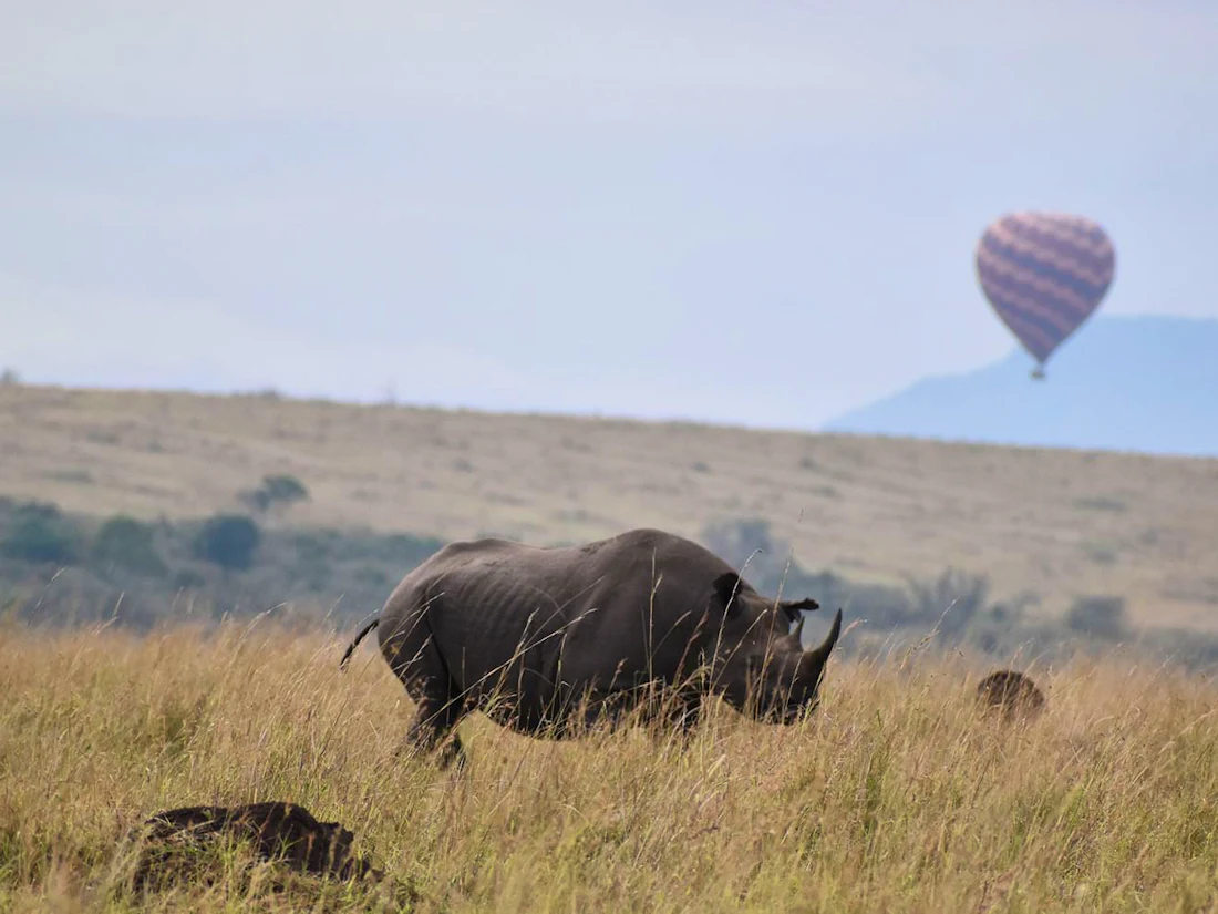 Mara Serena Safari Lodge, Maasai Mara Triangle