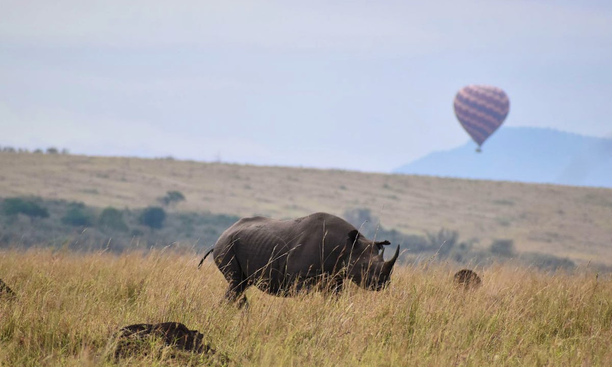 mara-serena-safari-lodge-20