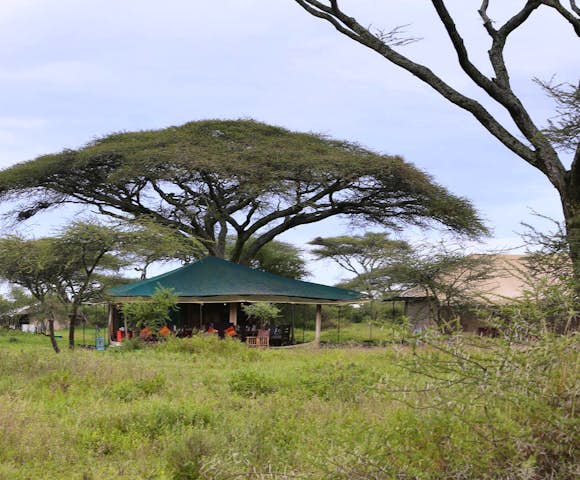 Nasikia Mobile Migration Camp