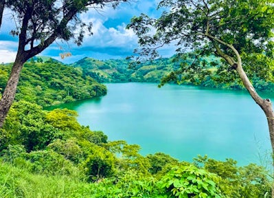 Mallets at the Ready!