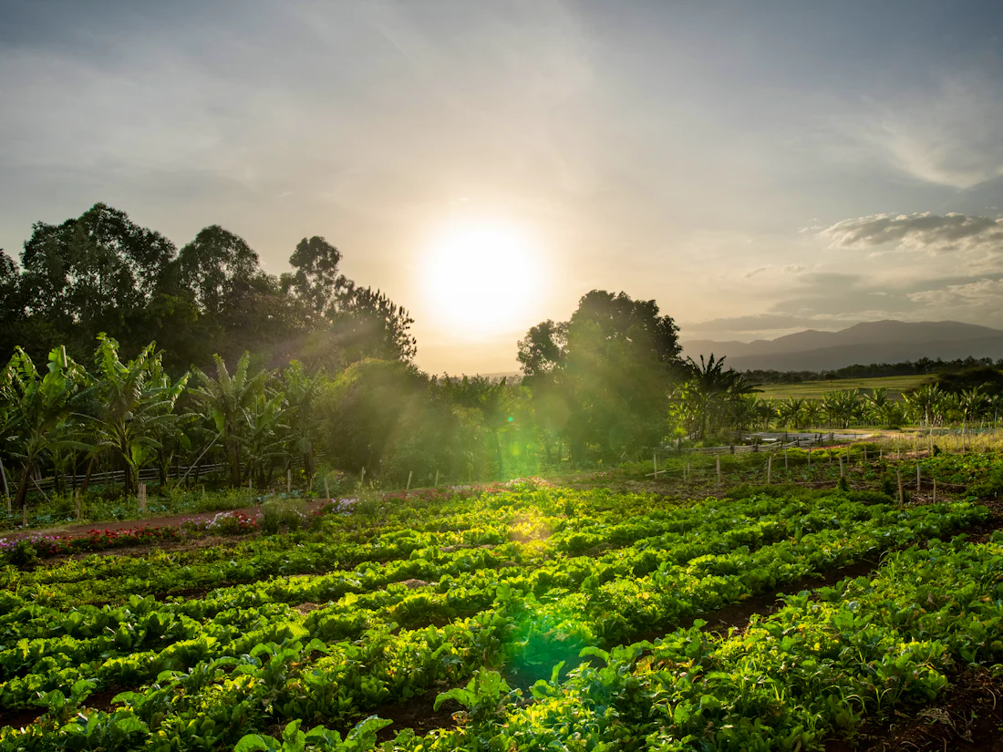 Ngorongoro Farm House, Ngorongoro Highlands