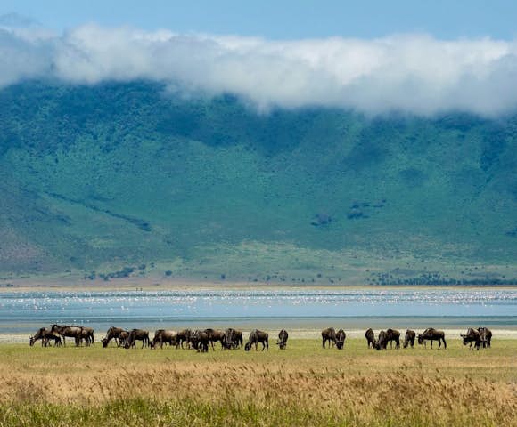 Ngorongoro Serena Safari Lodge