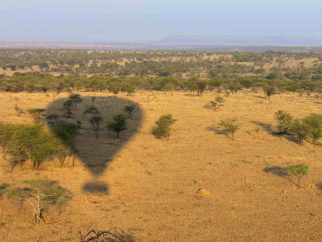Nimali Central Serengeti, Central Serengeti