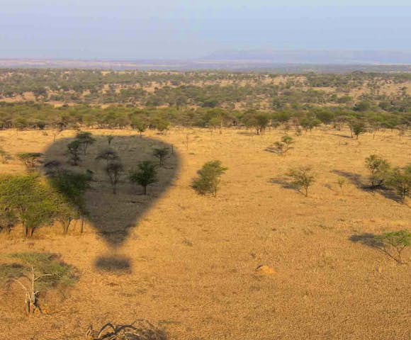 Nimali Central Serengeti