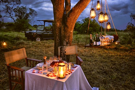 Luxury Safaris in Tanzania