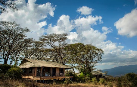 Entamanu Ngorongoro