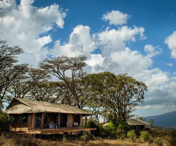 Entamanu Ngorongoro