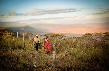 Entamanu Ngorongoro