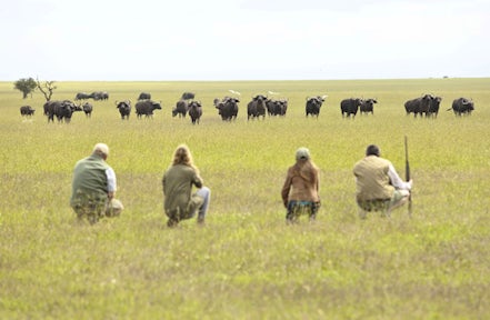 Ol Pejeta Bush Camp