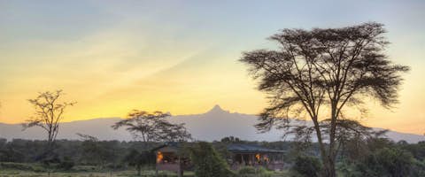 A Kenyan Odyssey