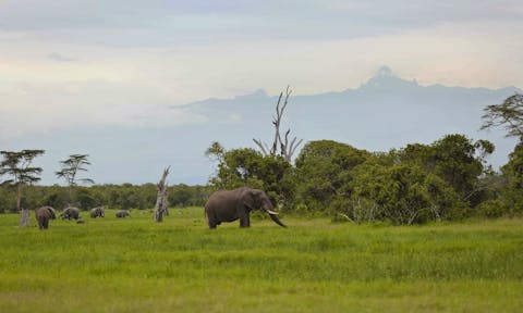 Lewa Conservancy