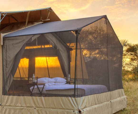 Luxury Safaris in Kenya