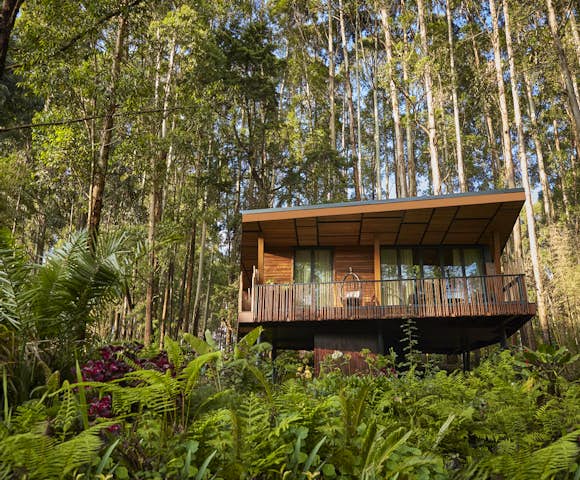 One&Only Gorilla's Nest