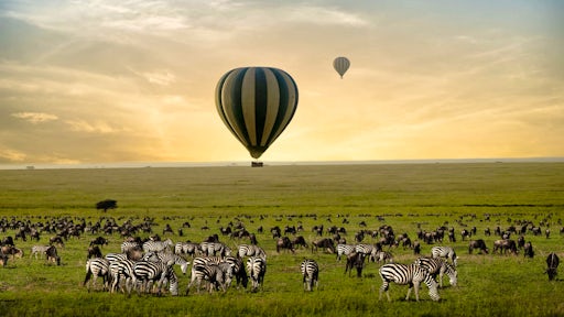Luxury Safaris in Tanzania
