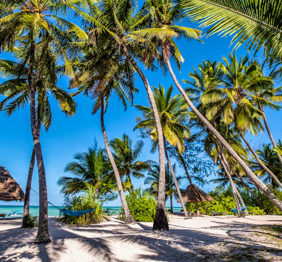 Palm-fringed beach at Pongwe, Zanzibar
