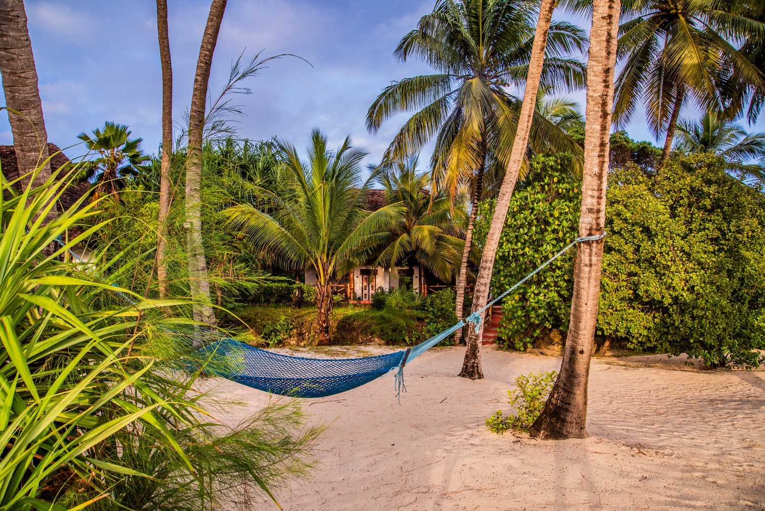 The Indian Ocean coast at Pongwe Beach Hotel, Zanzibar