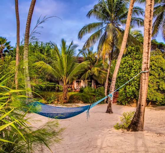 The Indian Ocean coast at Pongwe Beach Hotel, Zanzibar