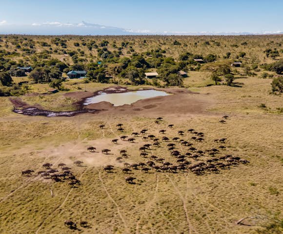 Porini Rhino Camp