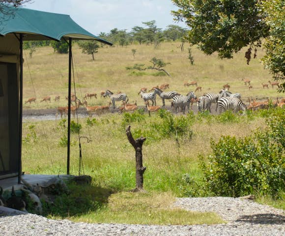 Porini Rhino Camp