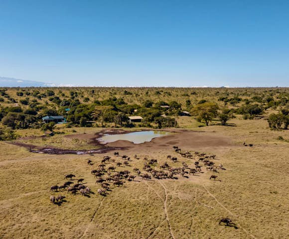 Porini Rhino Camp
