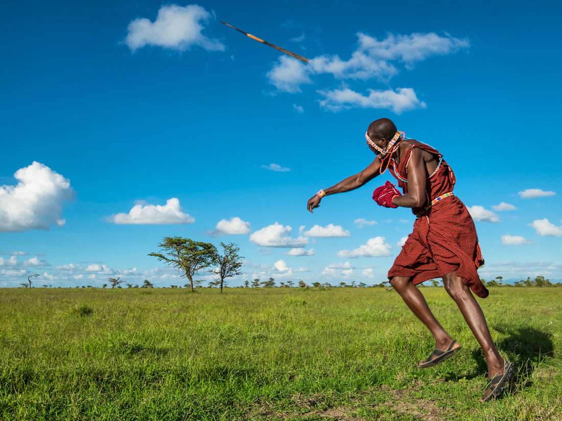 Wildlife and open landscapes in northern Kenya