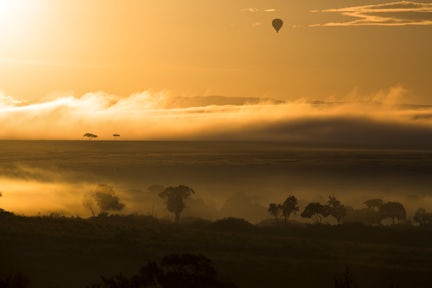 Maasai Mara landscape at sunrise, Kenya