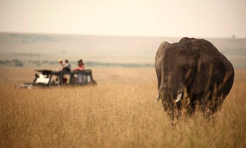 Wonder: Places to Visit