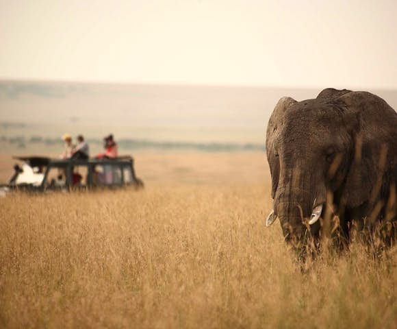 Luxury Safaris in Kenya