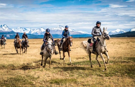 Riding out the Pandemic